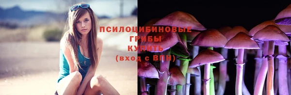 шишки Алзамай