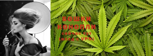 шишки Алзамай