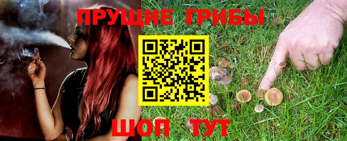Галлюциногенные грибы мухоморы Тверь